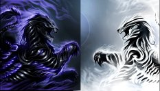 dark vs light
